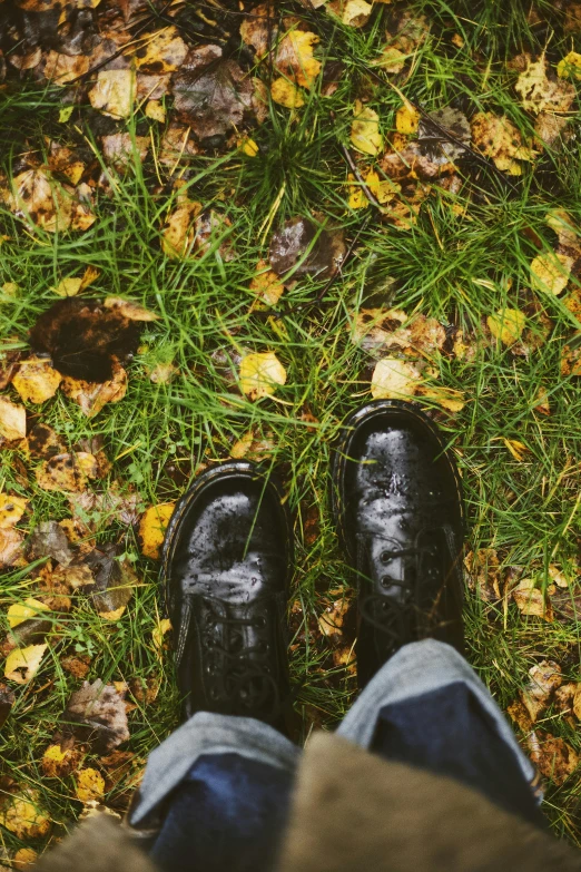 the black shoes are on while on the grass is yellow and brown