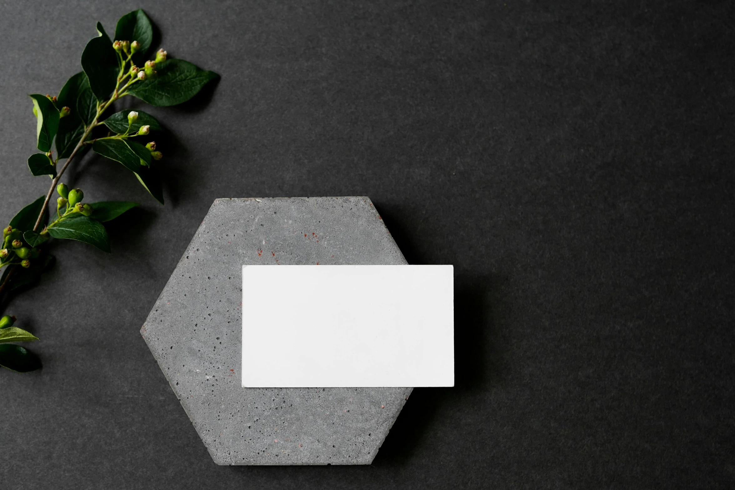 a blank card next to a plant and gray concrete