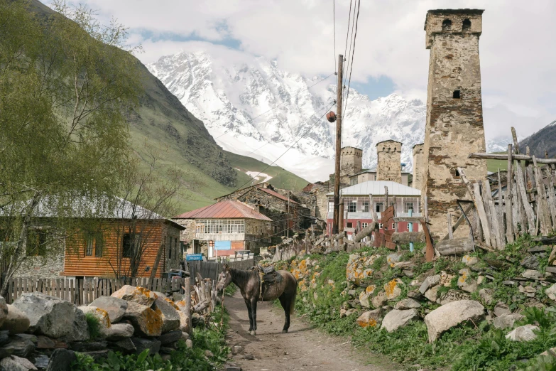 two cows in a village surrounded by rocky mountains