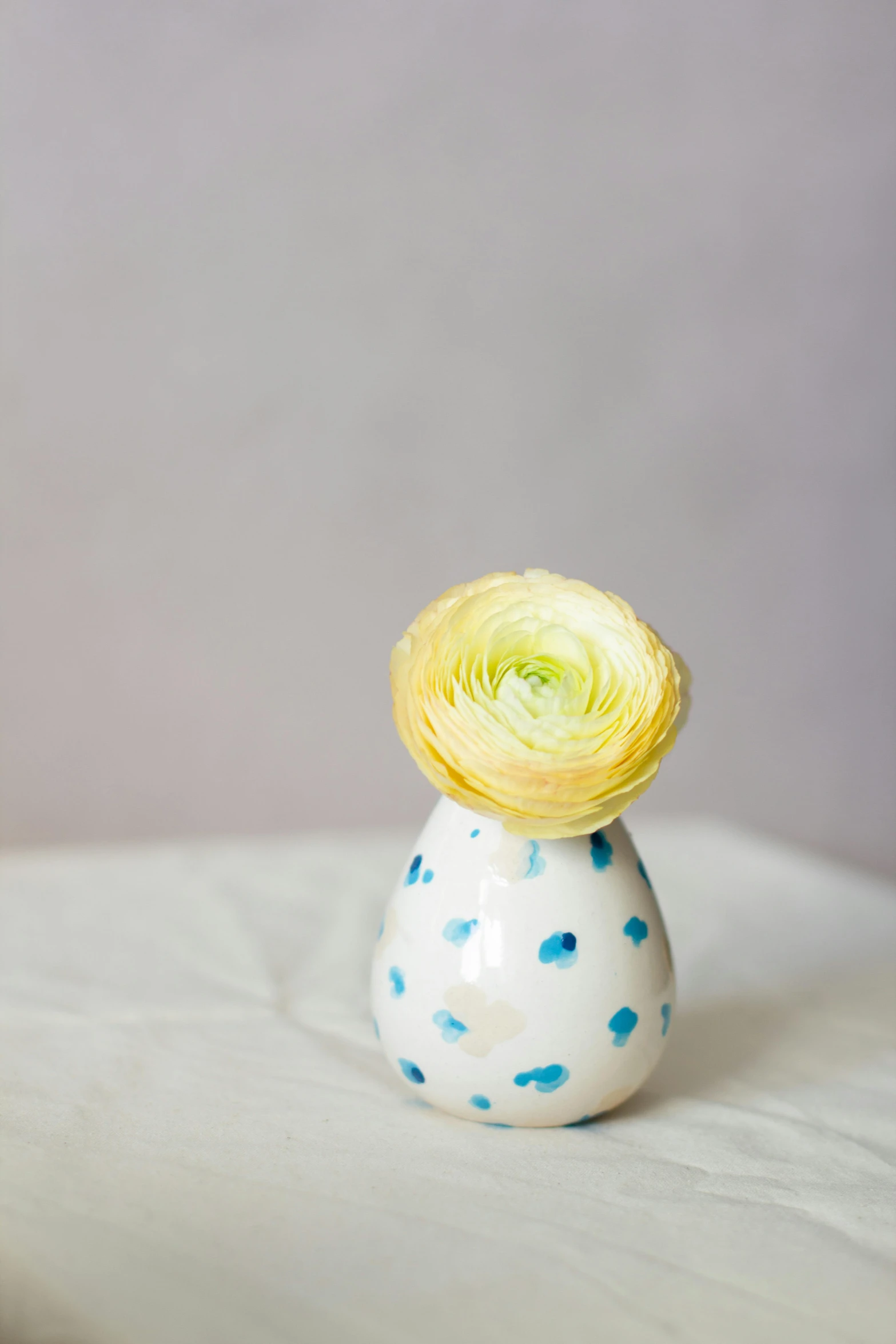 a white vase with a yellow and blue flower