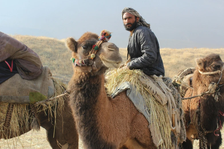 a man is riding on top of a camel