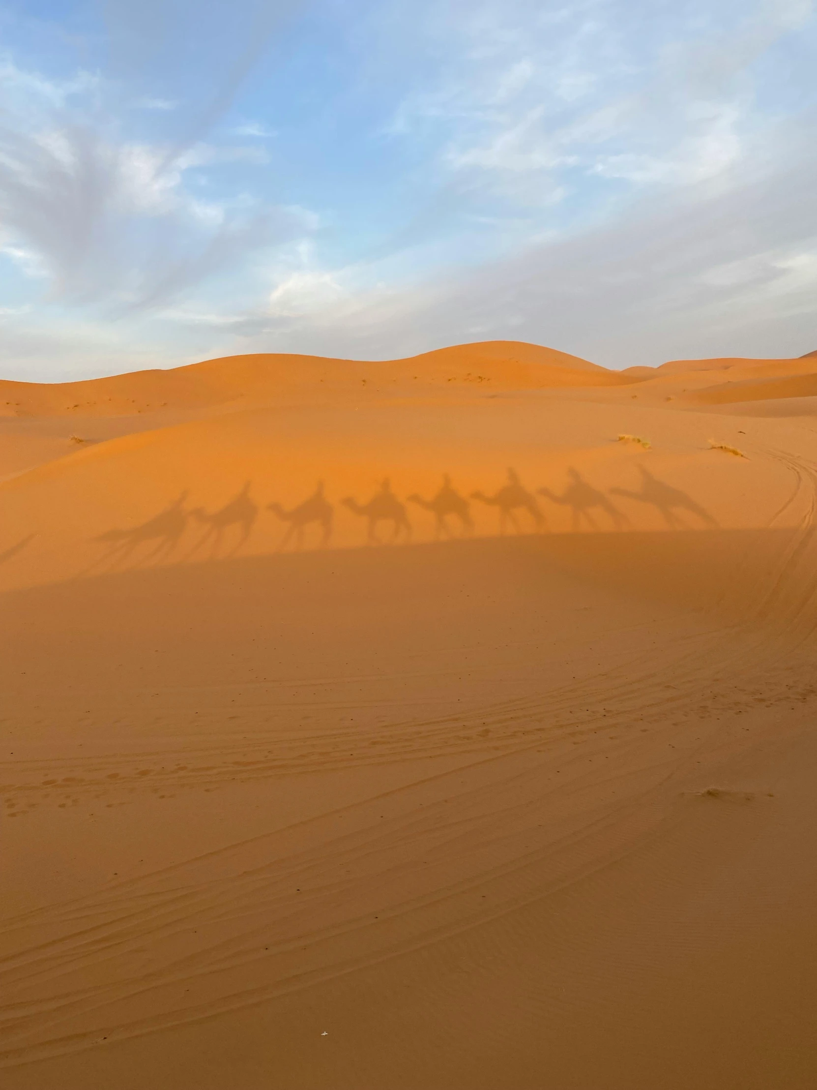 a family shadow is shown in the middle of the desert