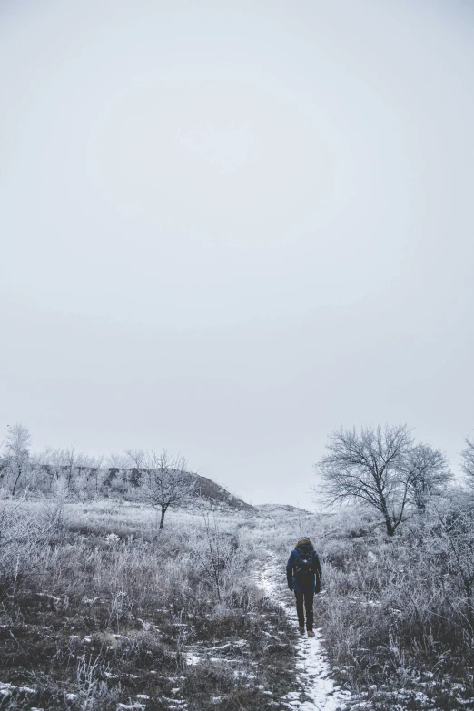 a person walking through a field on a cloudy day