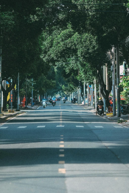 the street is surrounded by many trees and stop signs