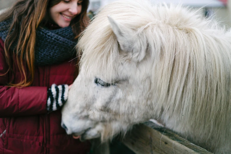 a close up of a woman petting a horse