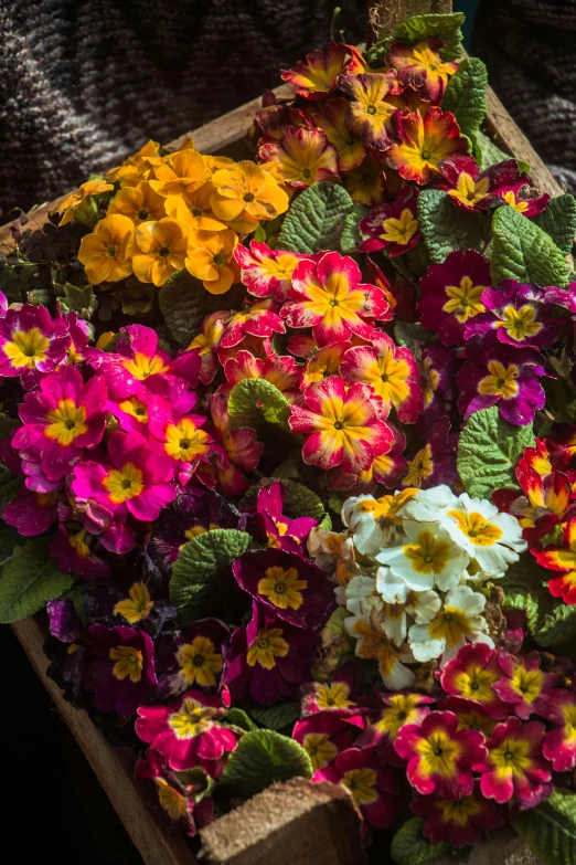 a wooden box filled with different colored flowers