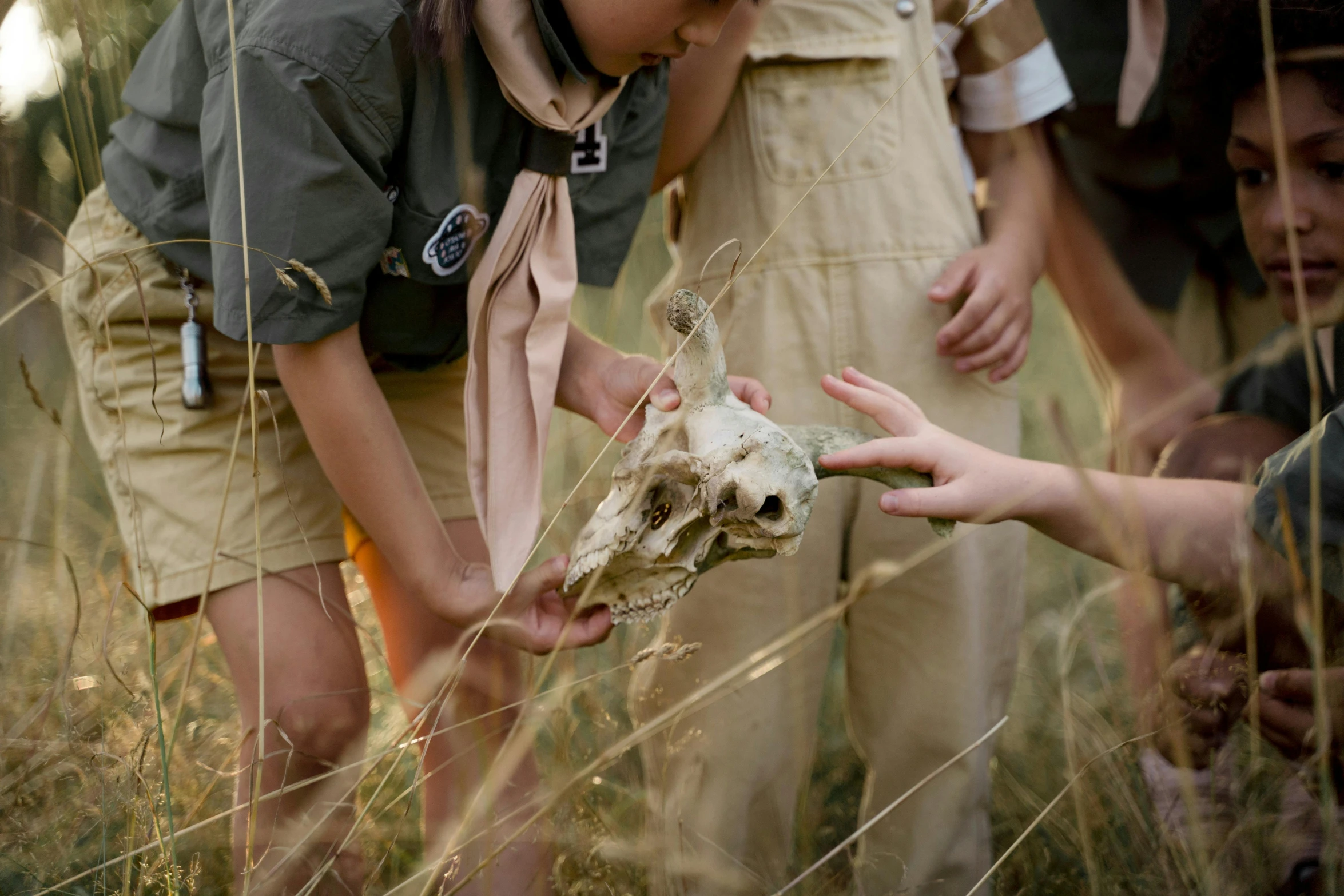 a group of s looking at an animal skull