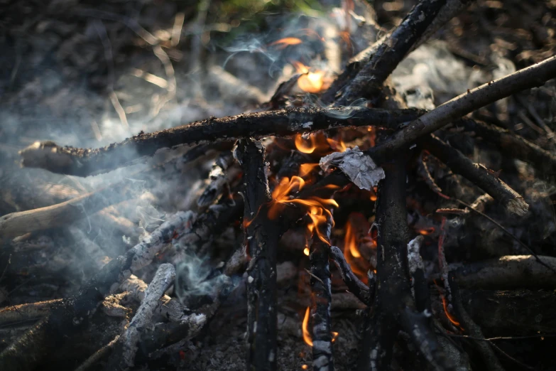 a pile of logs that is burning on fire