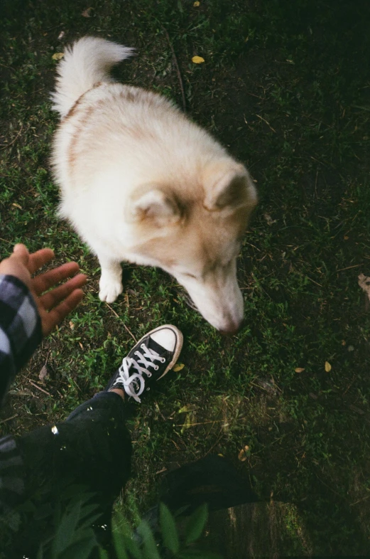 a person that is touching their dog that's near his feet