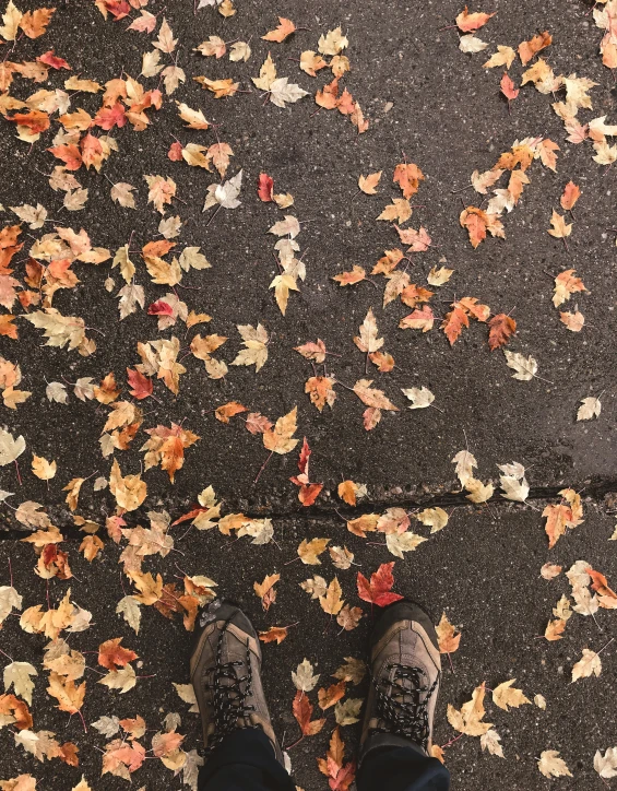 a person wearing a pair of shoes standing in a leaf filled sidewalk