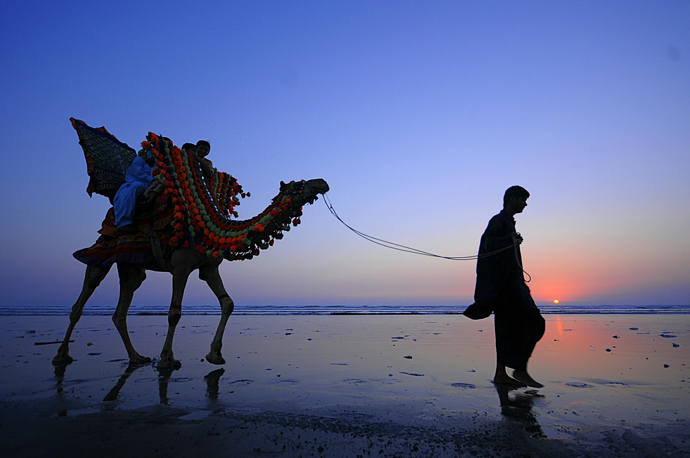 man walking a camel on the beach at sunset