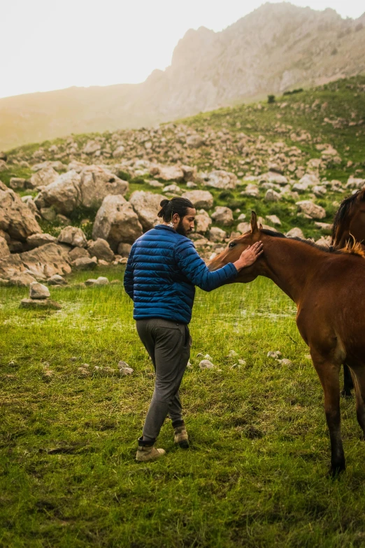 a man is touching the reins on a small horse