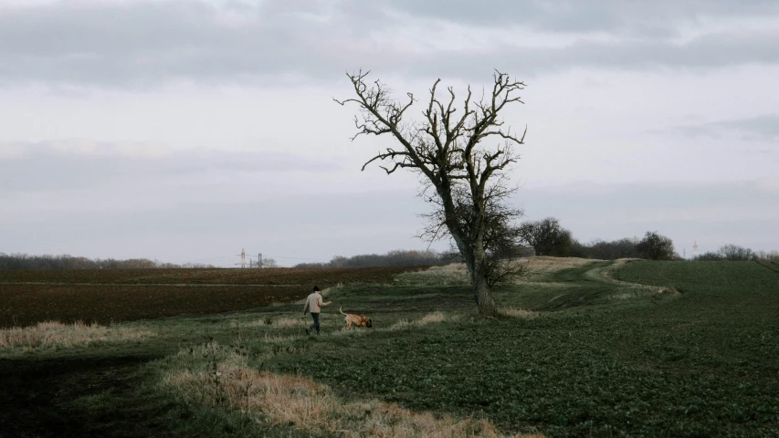 two people walking through a field next to a tree