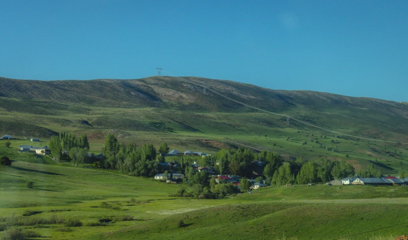 a herd of animals grazing on top of a green hill