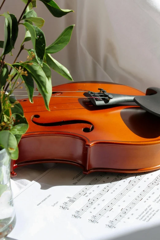 the violin is laying next to some sheet music