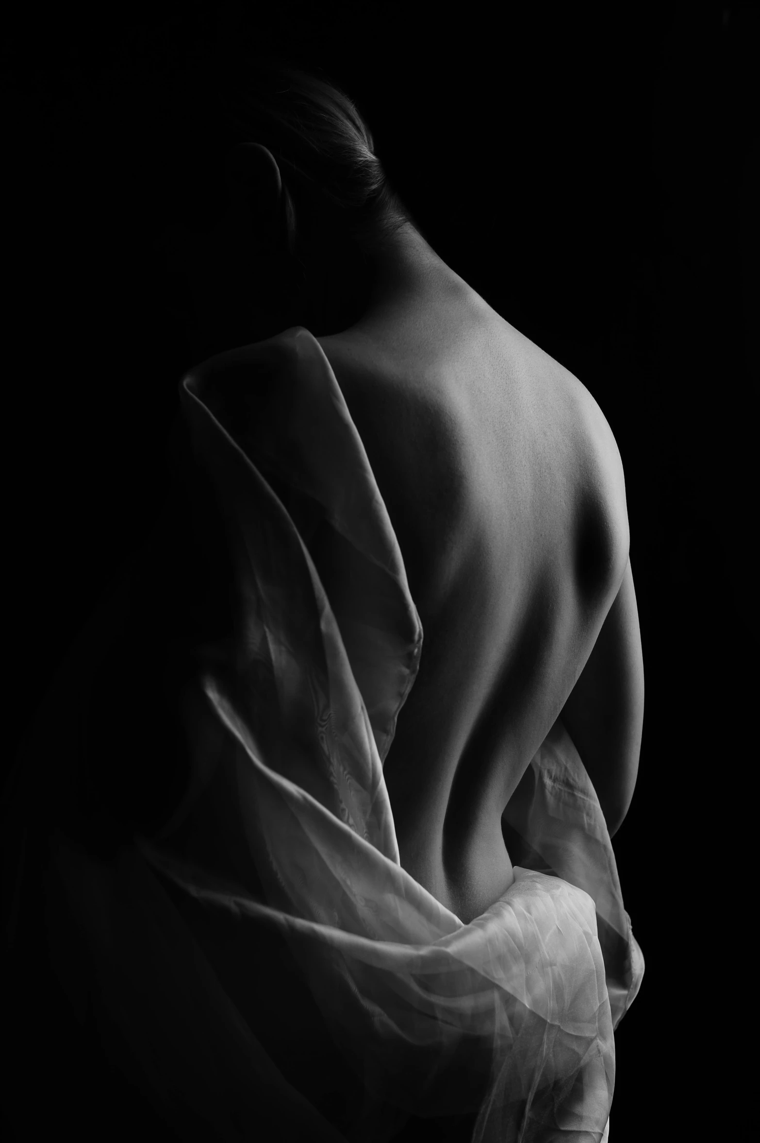 a woman's back with white veil flowing