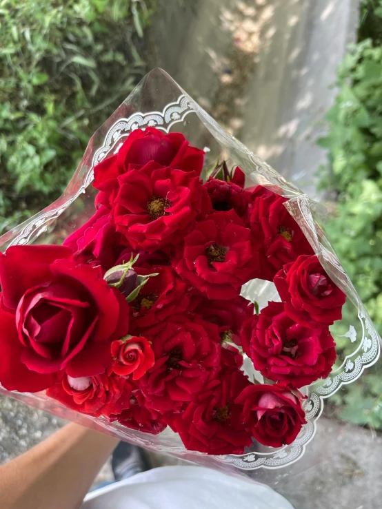 someone holding a square clear glass vase with red flowers