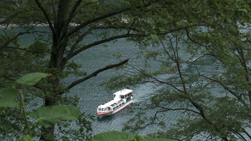boat on the water with many trees around it