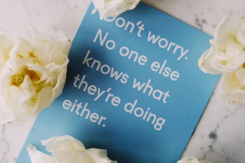 some white flowers sitting on top of a blue paper