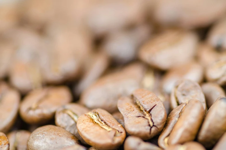 close up picture of some coffee beans