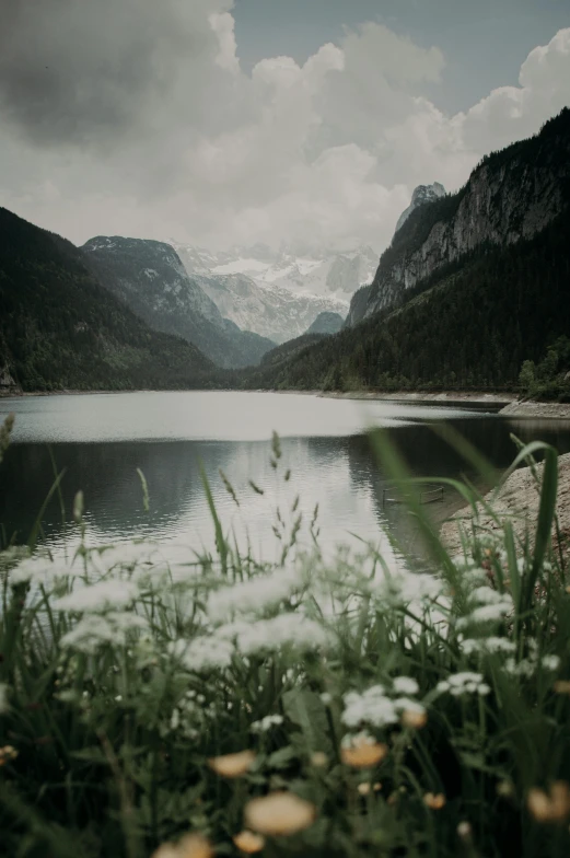 a mountain lake near a forest with tall grass