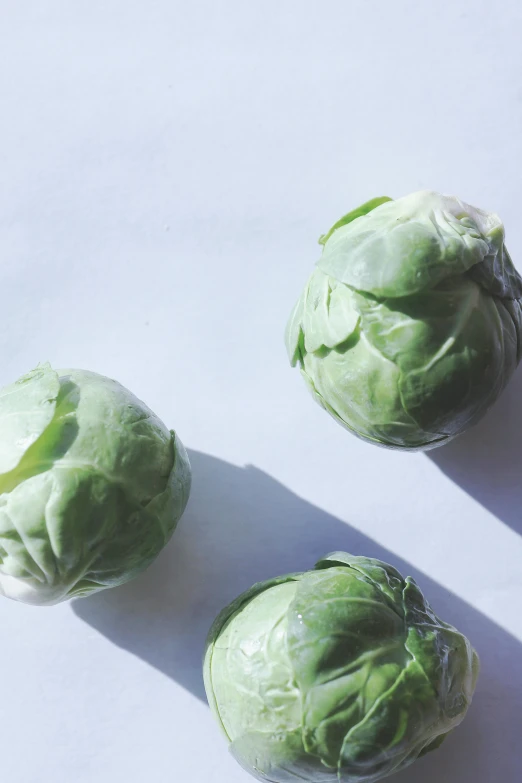 three brussels sprouts are sitting on the floor