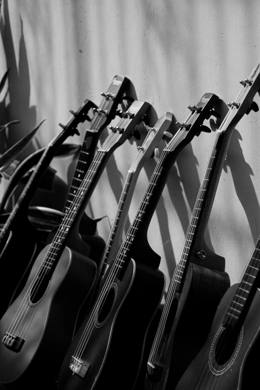 some guitars lined up on the wall