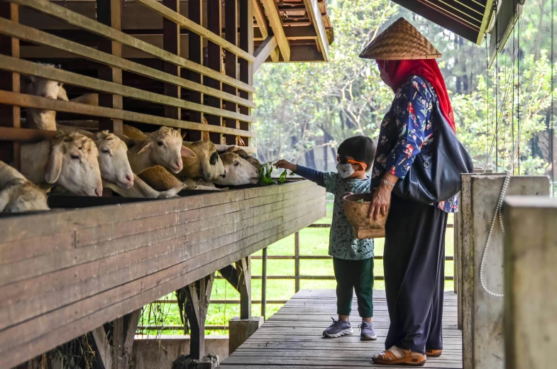 an elderly lady and  on a porch looking at animals