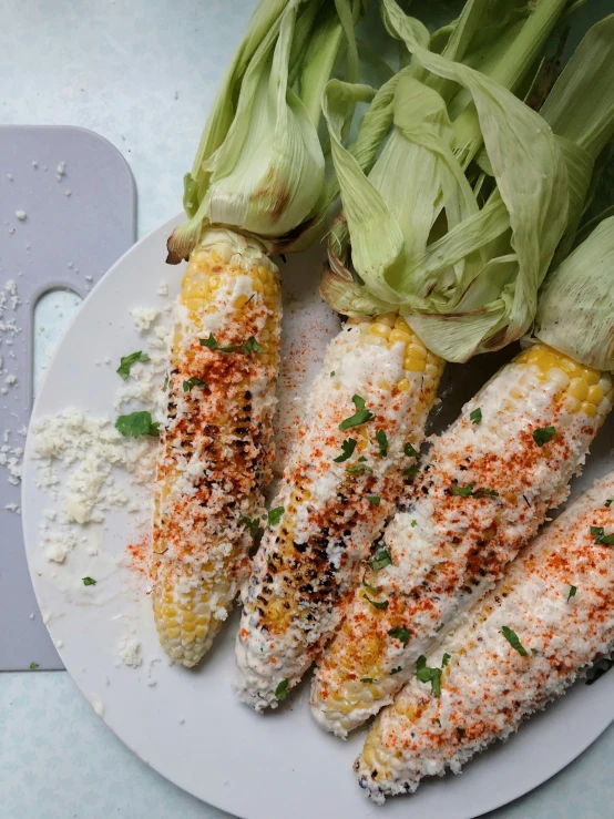 the plate has grilled corn on the cob with chili on it