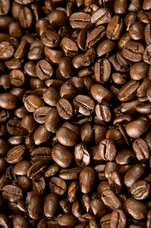 a pile of coffee beans is seen here