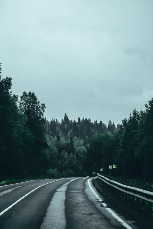 a highway with a lot of trees in the background