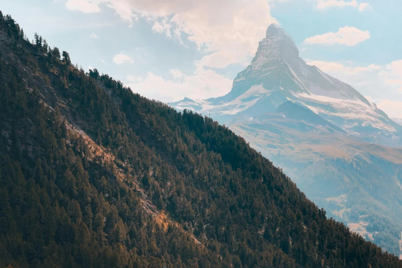 a snowy mountain is in the distance with trees on the bottom and top