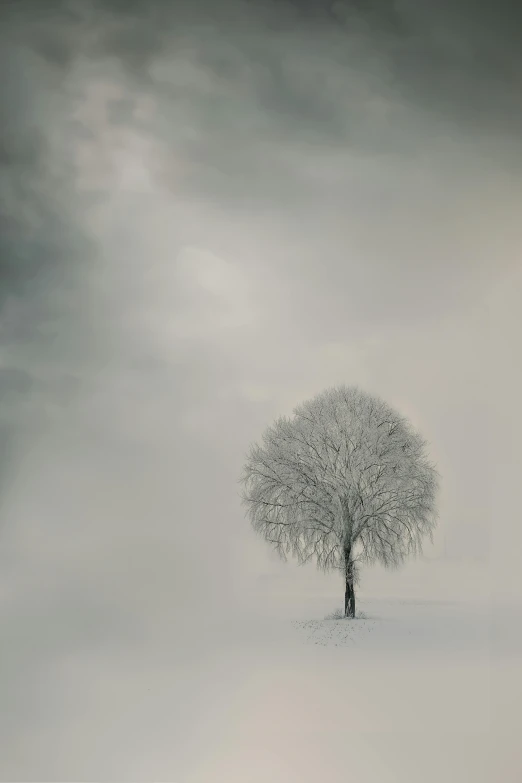 a lone tree standing alone against a dark cloudy sky