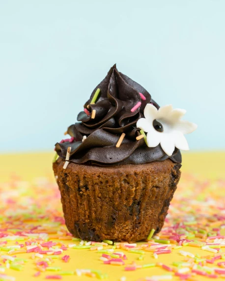 a chocolate cupcake with black frosting and sprinkles
