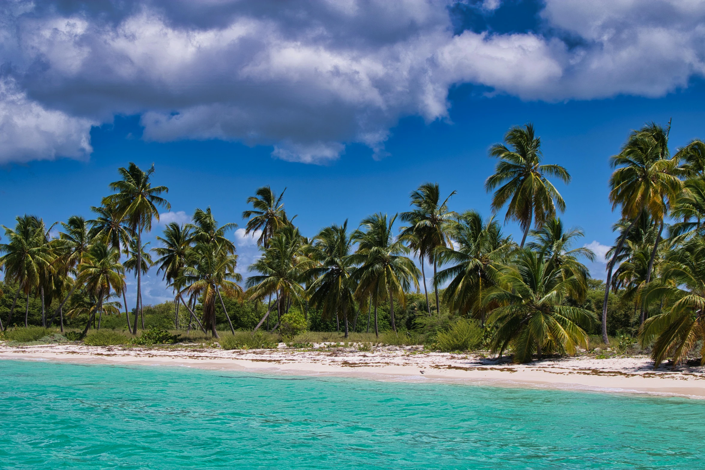 a sandy beach surrounded by trees and water