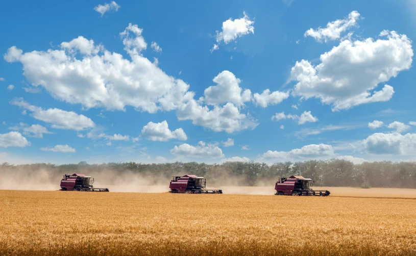 two combines are driving in the middle of a field