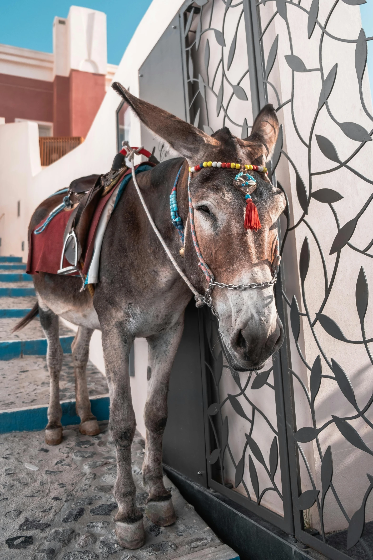 a donkey leans against the fence with its head on the wall