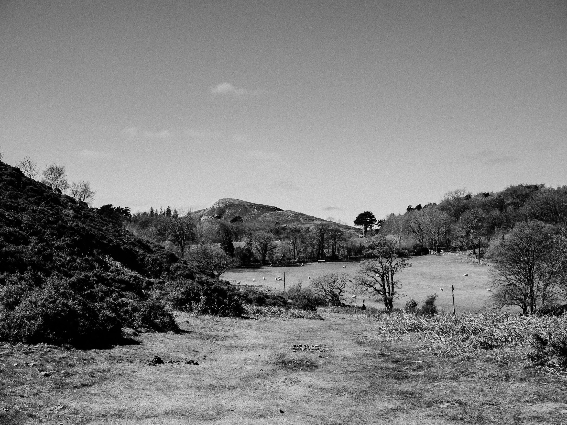 an abandoned road with hills in the background