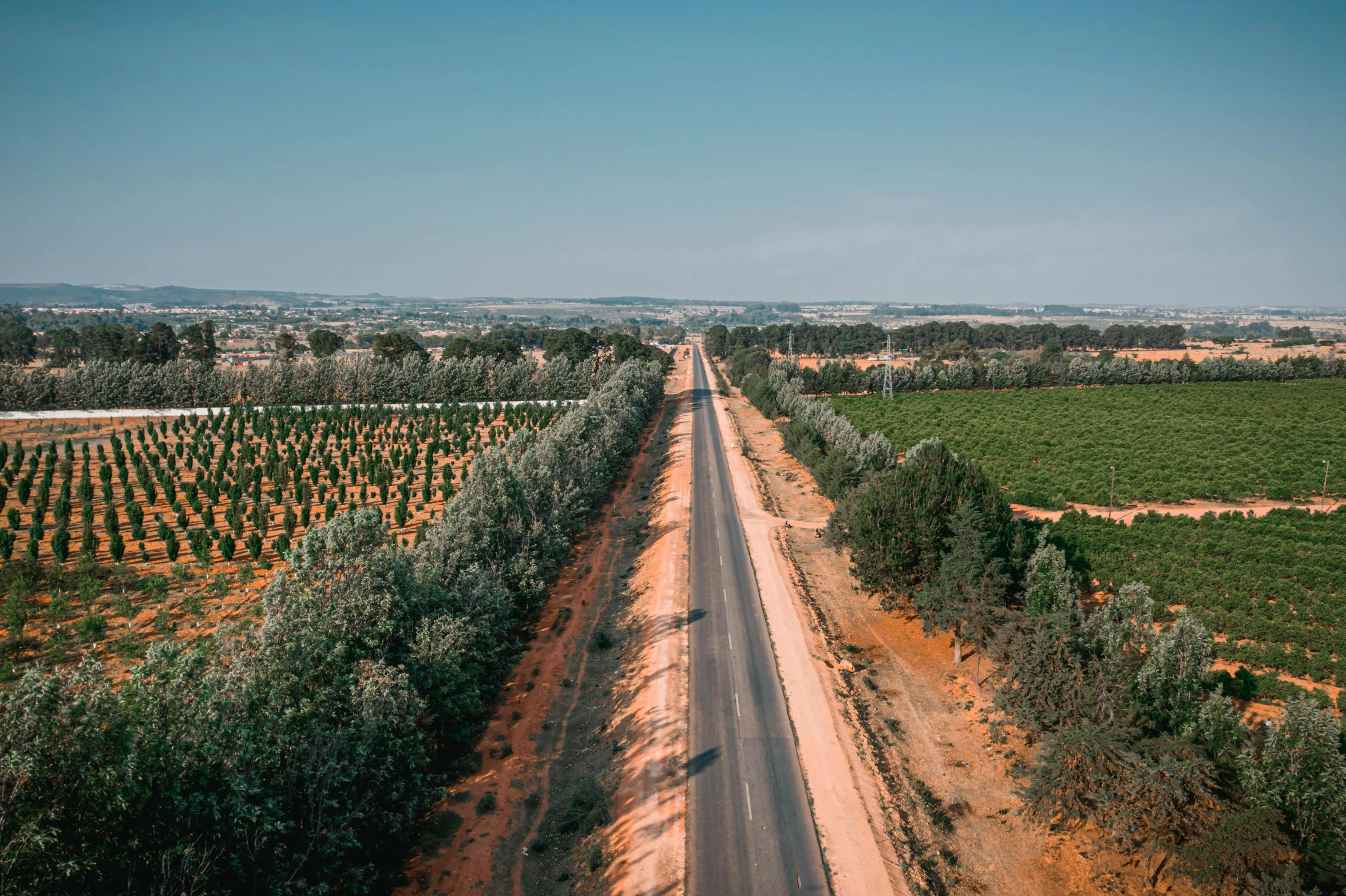 a big field with green trees and road