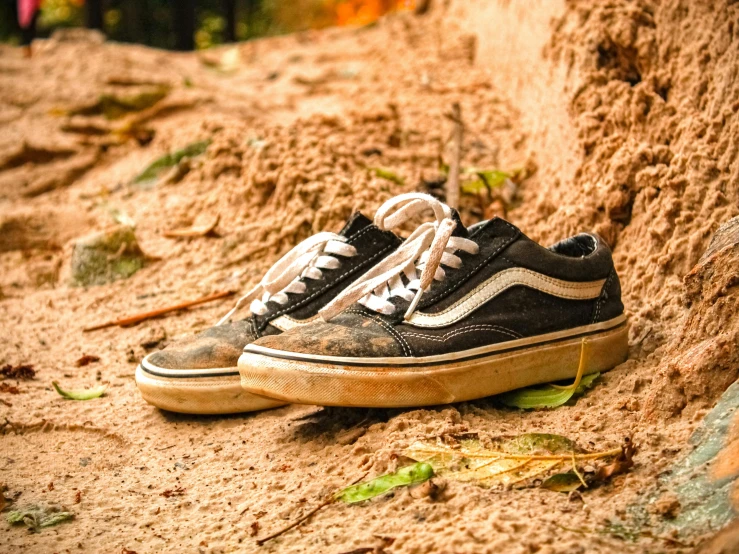 an old sneaker left on the ground in a patch of dirt