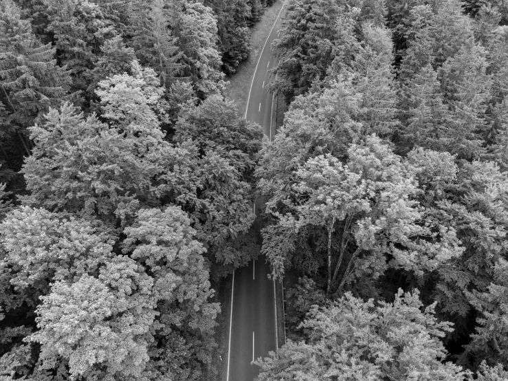 a winding road that leads through some trees