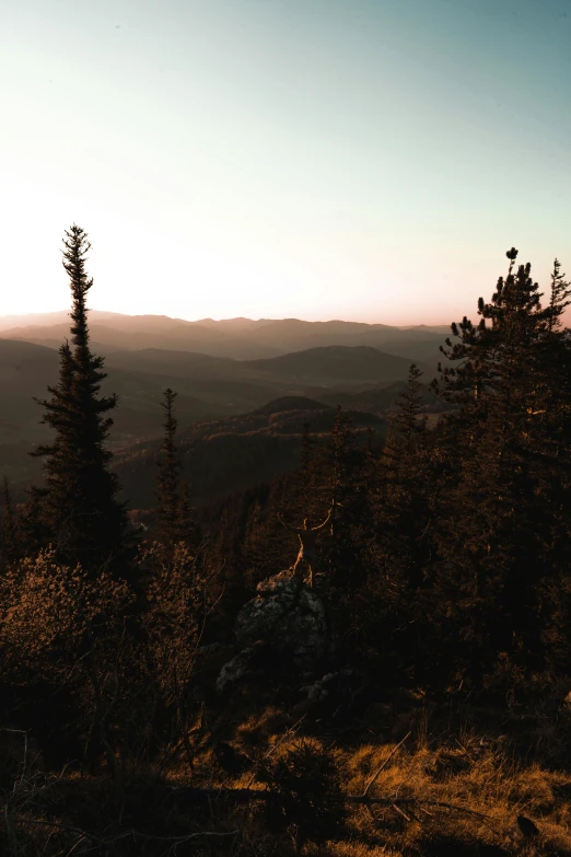 a scenic view with the sun setting and some trees