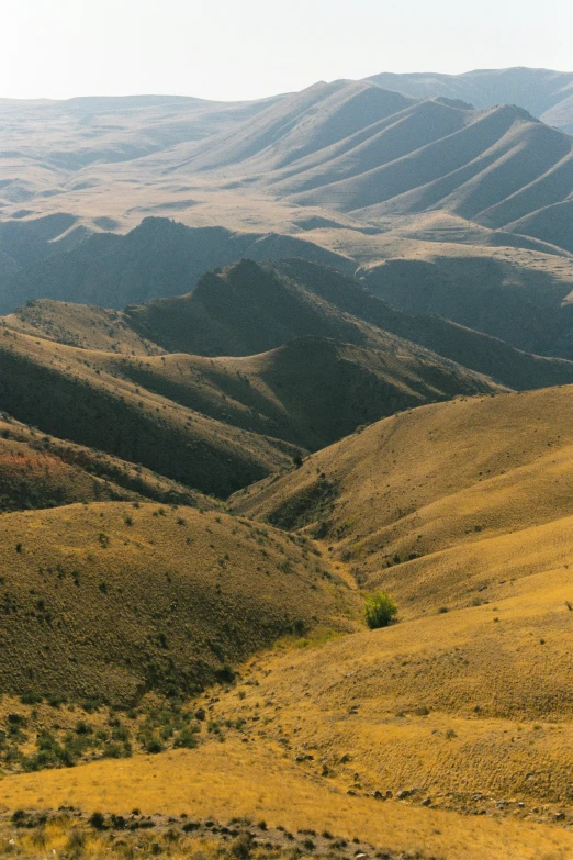 a valley covered in trees surrounded by mountains