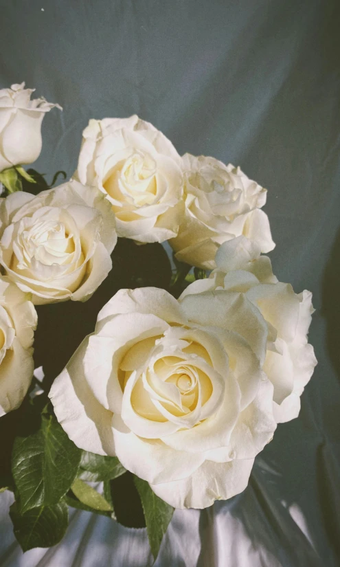 a bunch of white roses arranged in a bouquet