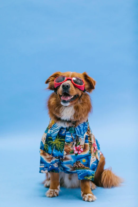 a dog wearing a hawaiian shirt and glasses