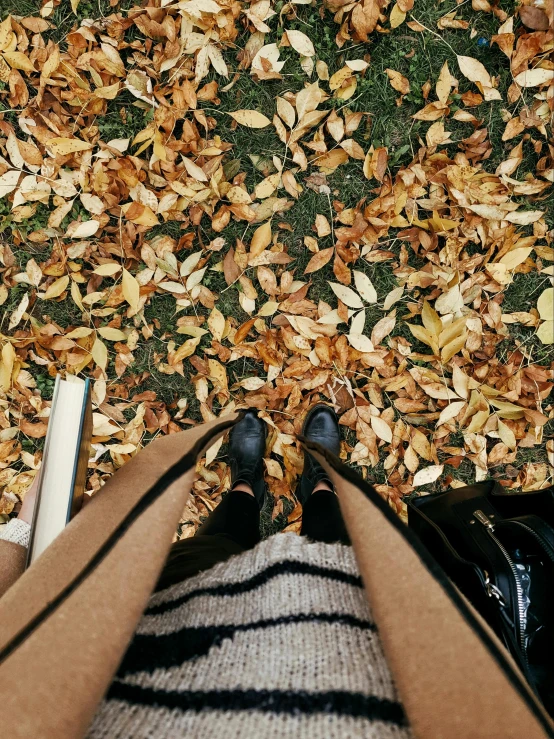 two people in the middle of leaves in front of them