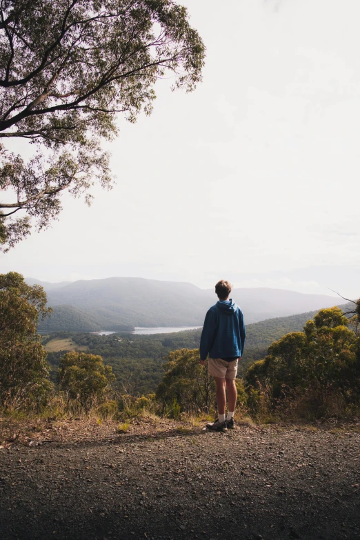 a person standing on a hill looking out over a forested landscape