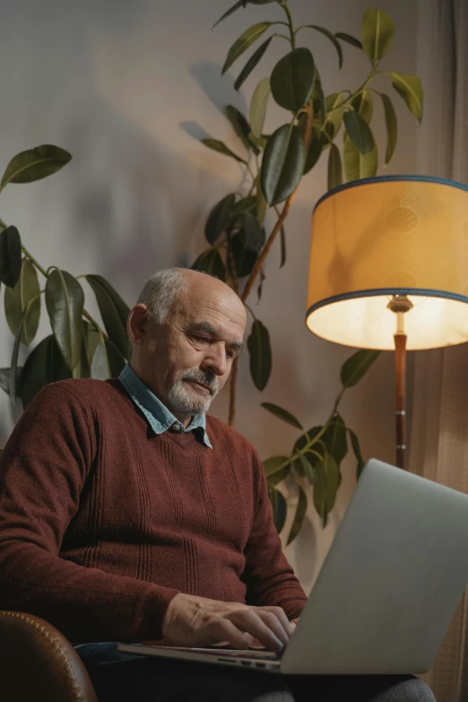 man with beard using laptop at night, surrounded by plant