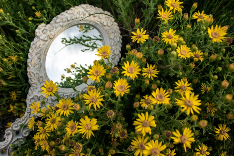 yellow flowers with white and gray oval mirror behind