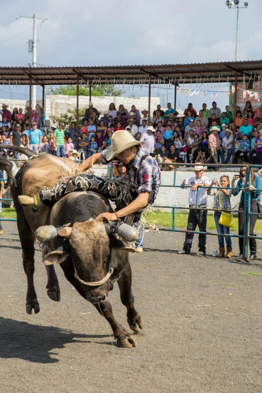 a man riding on the back of a bull with people watching